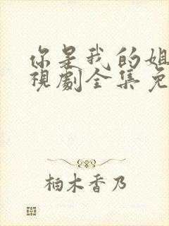 你是我的姐妹电视剧全集免费