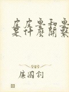 皮皮鲁和鲁西西是什么关系封面