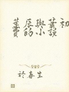 叶辰与萧初然免费的小说