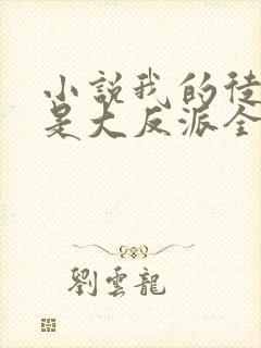 小说我的徒弟都是大反派全文阅