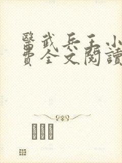 医武兵王小说免费全文阅读一