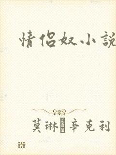 情侣奴小说封面