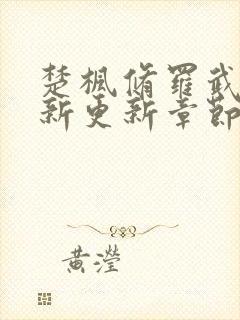 楚枫修罗武神最新更新章节