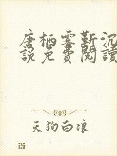 唐栖雾靳沉野小说免费阅读最新章节