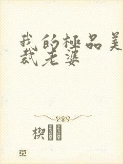 我的极品美女总裁老婆