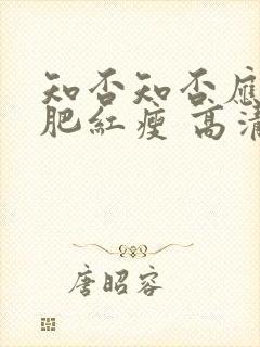 知否知否应是绿肥红瘦 高清封面