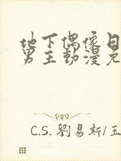 地下偶像日漫双男主动漫免费