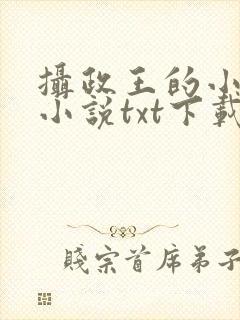 摄政王的小闲妻小说txt下载