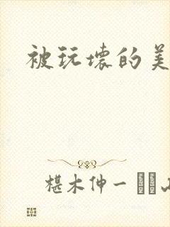 被玩坏的美人封面