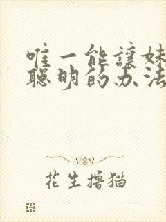 唯一能让妹妹变聪明的办法只有我封面