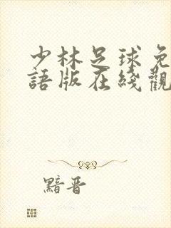 少林足球免费国语版在线观看