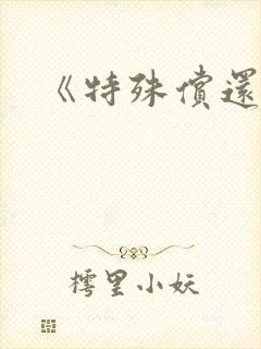 《特殊偿还》封面