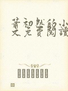 萧初然的小说全文免费阅读封面