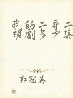 我的二哥二嫂电视剧多少集