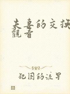 夫妻的交换在线观看封面