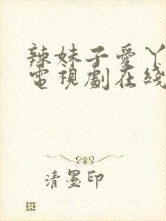 辣妹子爱丫爱丫电视剧在线观看