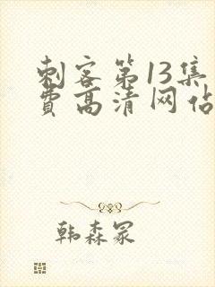 刺客第13集免费高清网站下载大全封面