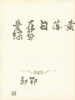 爱在日落黄昏时综艺封面