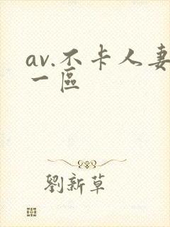 av.不卡人妻一区