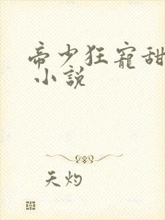 帝少狂宠甜蜜妻 小说