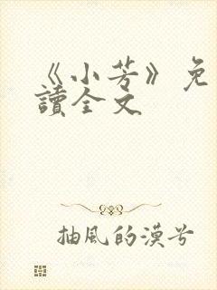 《小芳》免费阅读全文