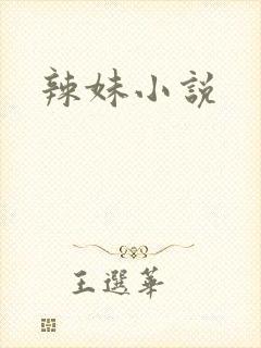 辣妹小说