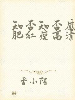 知否知否应是绿肥红瘦高清资源封面