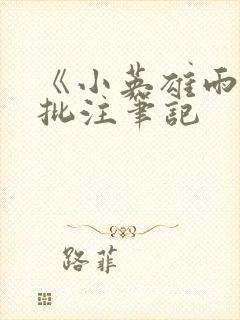 《小英雄雨来》批注笔记封面