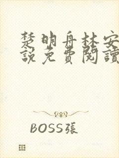 楚明舟林安安小说免费阅读无弹窗封面