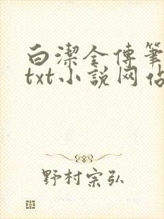 白洁全传笔趣阁txt小说网站在线阅读