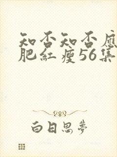 知否知否应是绿肥红瘦56集在线观看封面