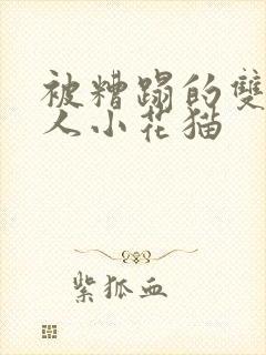 被糟蹋的双性美人小花猫