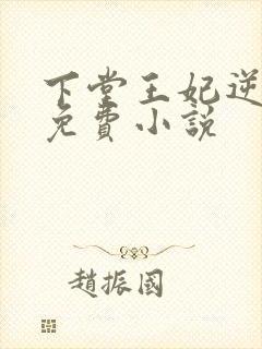 下堂王妃逆袭记免费小说封面
