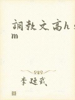 调教文高h sm
