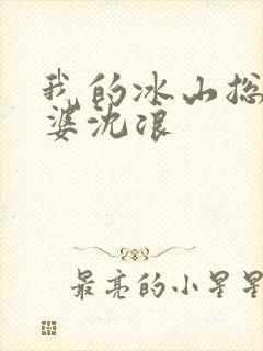 我的冰山总裁老婆沈浪