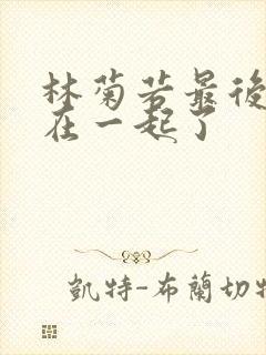 林菊若最后和谁在一起了封面