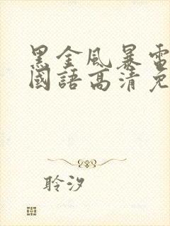 黑金风暴电视剧国语高清免费观看