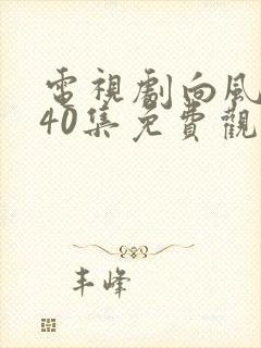 电视剧向风而行40集免费观看封面