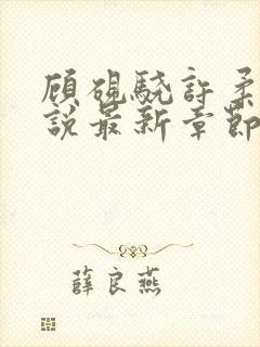 顾砚骁许柔汐小说最新章节更新时间