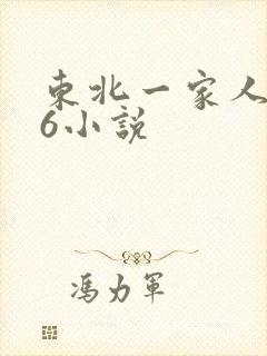 东北一家人1一6小说