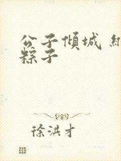 公子倾城 维和粽子封面