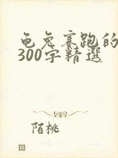 龟兔赛跑的故事300字精选封面