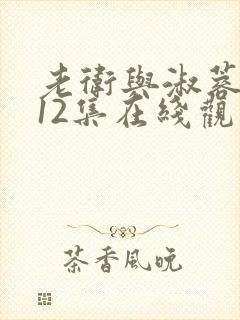 老卫与淑蓉7一12集在线观看