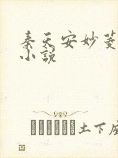 秦天安妙菱修仙小说