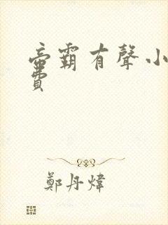 帝霸有声小说免费封面