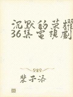 沉默的荣耀1—36集电视剧在线观看