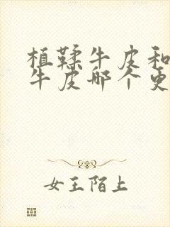 植鞣牛皮和头层牛皮哪个更好