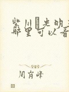 紫川·光明三杰哪里可以看完整版