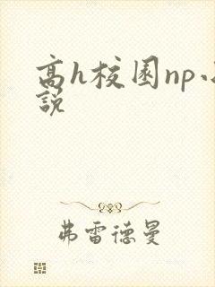 高h校园np小说