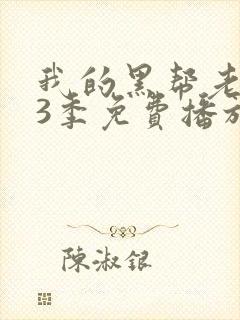 我的黑帮老大第3季免费播放在线观看